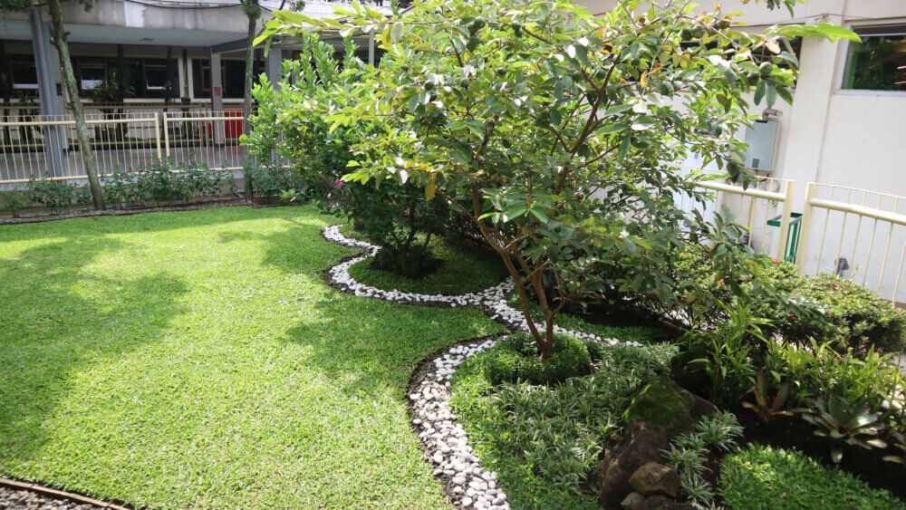 Vertical Garden Rumah Sakit 2