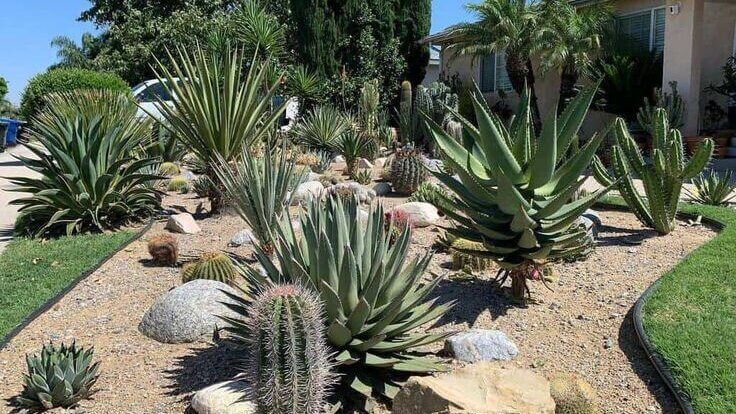 zero effort greenery.2