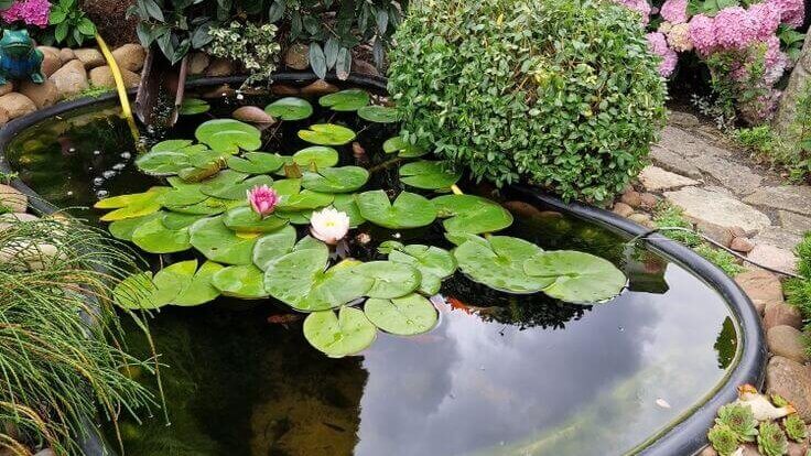 Material yang Cocok Digunakan untuk Pembuatan Kolam Hias 2