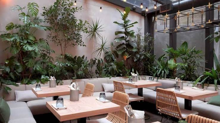 6 Strategi Desain Taman Cafe Tropis Modern agar Instagramable Banner