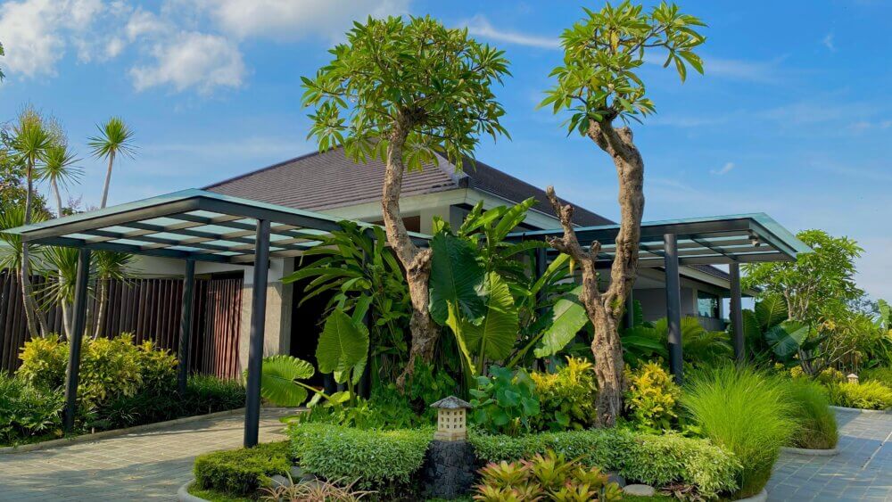 Pohon Taman Rumah Besar & Eksklusif: Rekomendasi Pohon Taman Rumah yang Elegan dan Bernilai Tinggi Banner