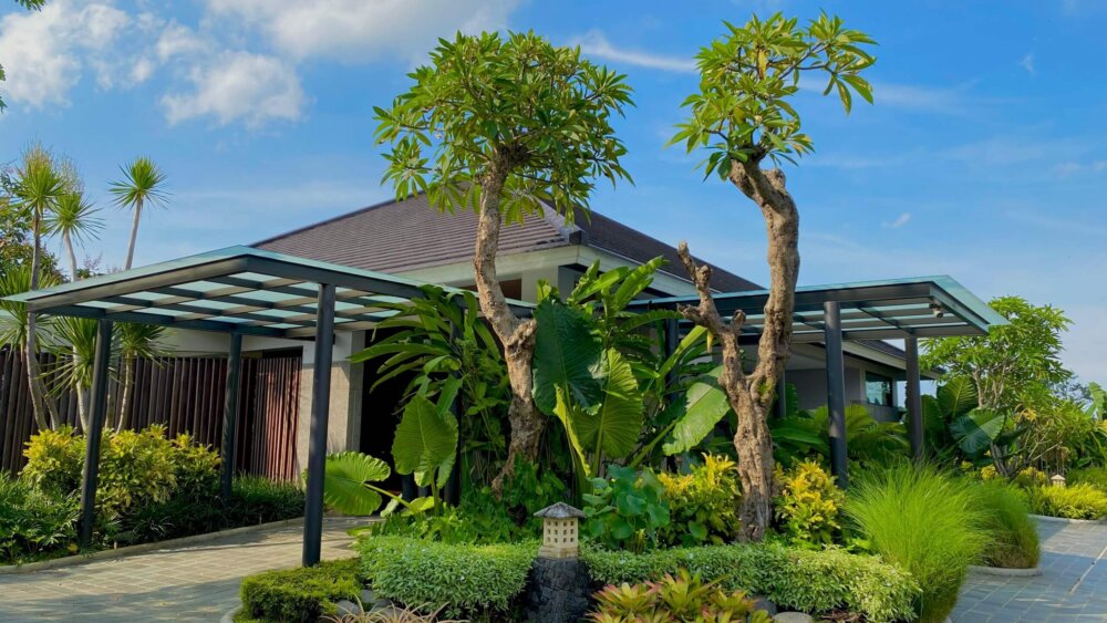 Pohon Peneduh 2
