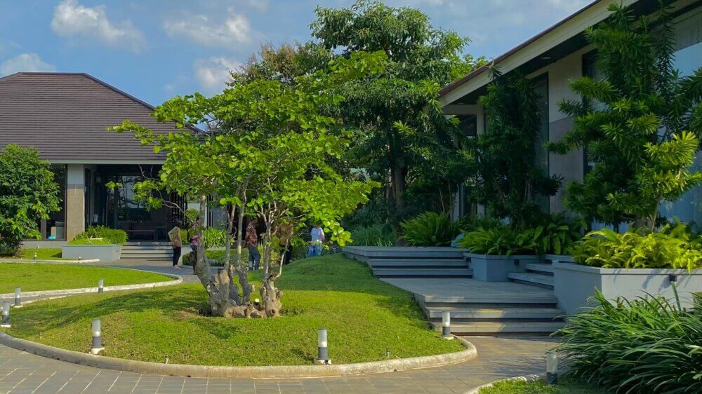 Pohon Peneduh 3