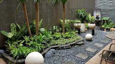 Memilih Tanaman Untuk Taman Rumah 2