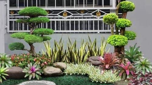 Memilih Tanaman Untuk Taman Rumah 3