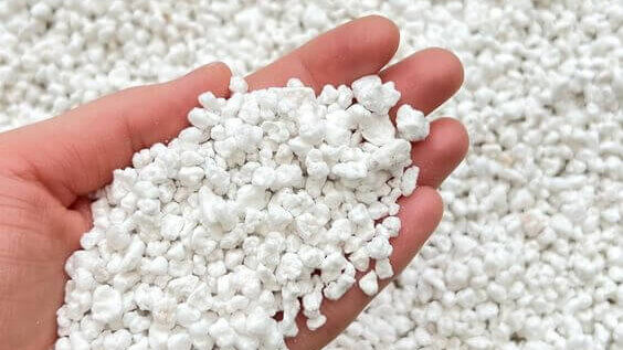 Media Tanam Terbaik untuk Tanaman Rumah 3