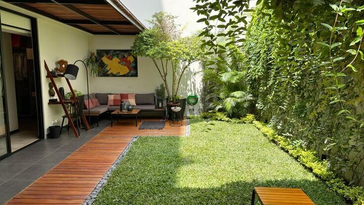 7 Tanaman Terbaik yang Cocok untuk Area Semi Outdoor Rumah Banner