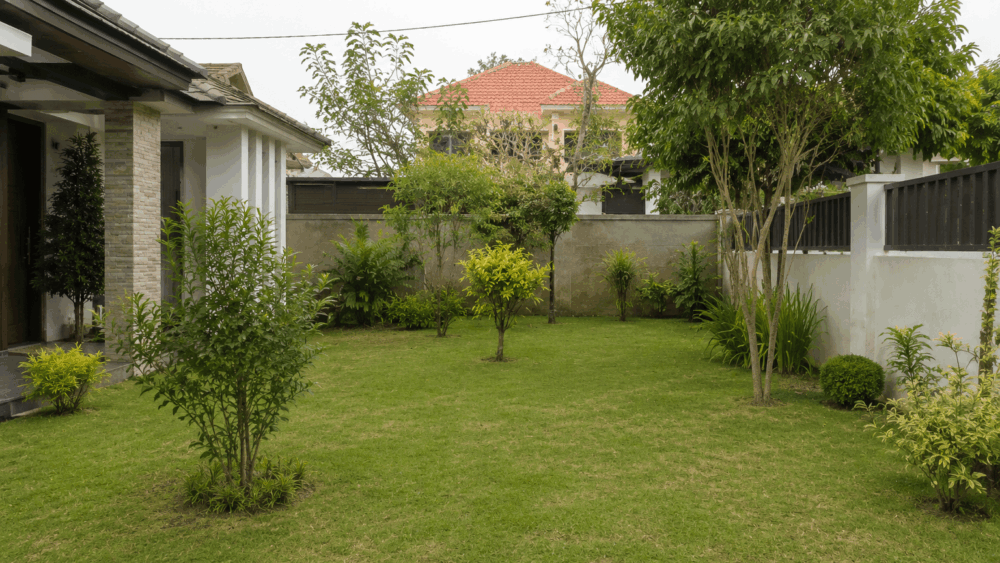 Area Rumah yang Tidak Memiliki Titik Fokus: 7 Dampak yang Membuat Landscape Kurang Estetik Banner