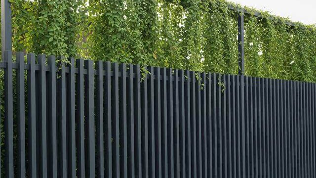 Vertical Garden untuk Area Rumah yang Terbatas 3