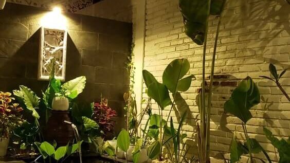 Membuat Kolam Rumah Terlihat Lebih Estetik
