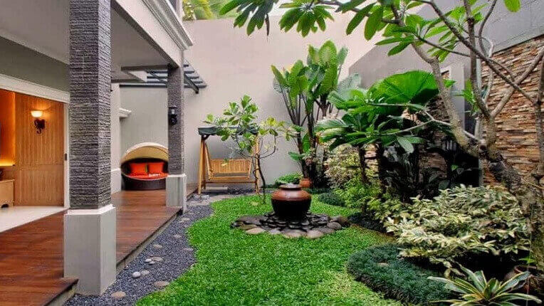 Tanaman Minimalis  2