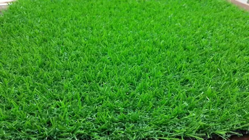 Rumput 3