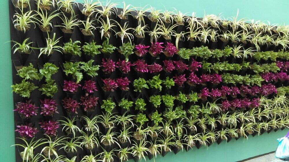 Vertical Garden 3