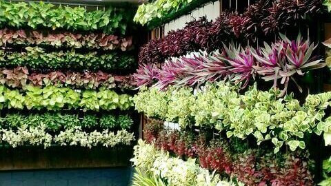 Vertical Garden