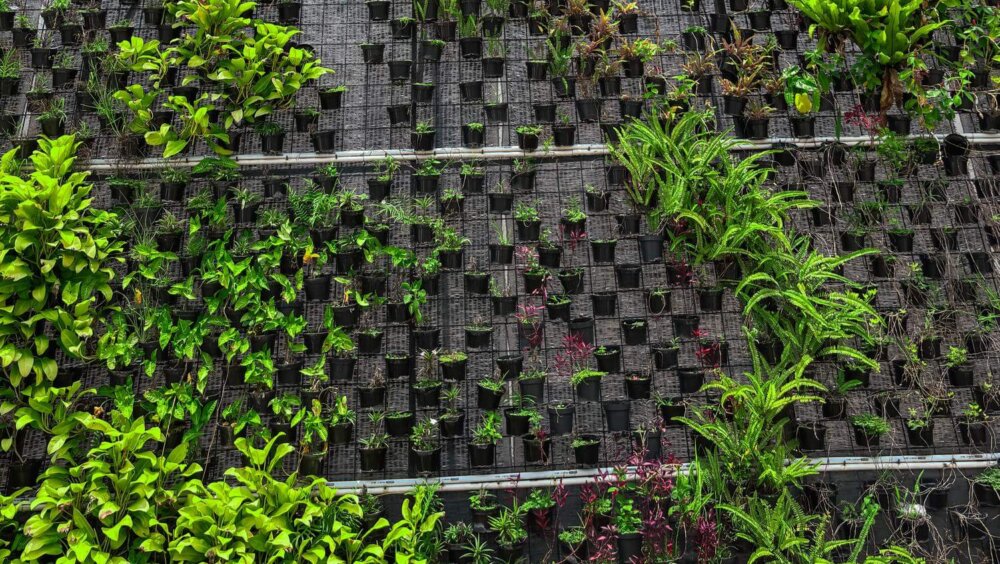 7 Fungsi Penting Vertical Garden Selain Mempercantik Rumah Banner