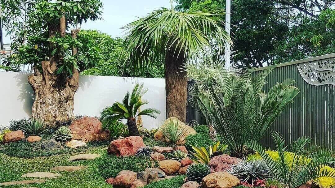 Pohon 2