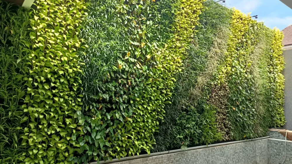 6 Tanaman Terbaik untuk Vertical Garden di Rumah Banner