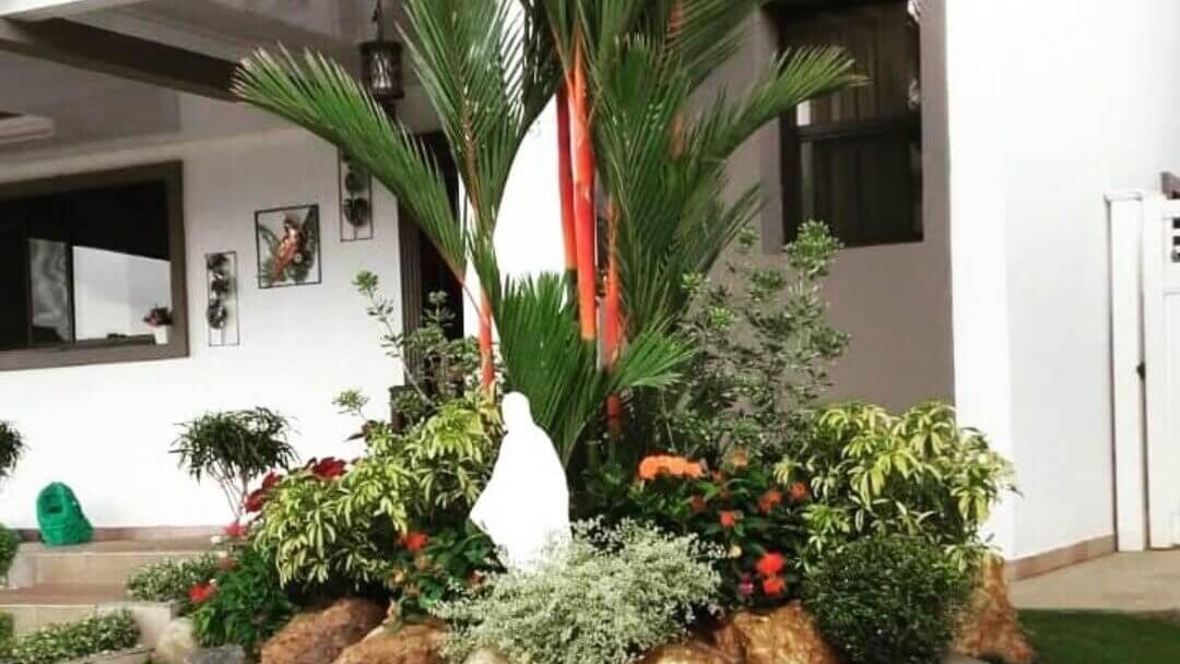Pohon 2