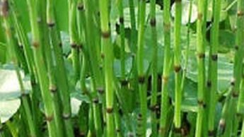 Bambu Air 1