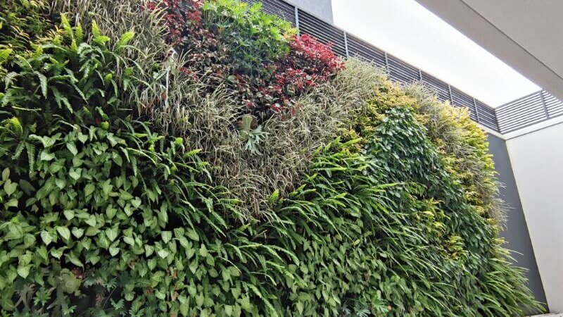 Vertical Garden