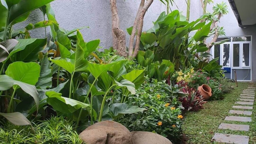 Mengapa Tanaman Hijau Membuat Landscape Menarik? Banner